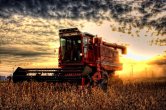 FAO varuje pred znenm produkcie potravn