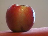 Na v�stave Jahrada 2012 v Tren��ne ocenia najkraj�ie slovensk� jablko a hru�ku