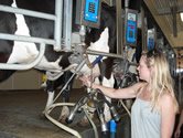 Cena mlieka enie farmrov do strt, pre zachovaniu stavu chc vyie podpory