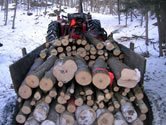 aba dreva na Slovensku v roku 2011 medzirone klesla o 3,97 %