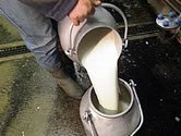 Podporuje silie eurpskych producentov o zvenie nkupnch cien mlieka