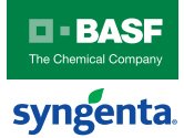 Spolonos Syngenta a BASF uzatvraj licenn zmluvy k technolgii na pestovanie slnenice