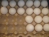 Slovensko je momentlne v produkcii vajec sebestan