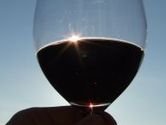 SPU v Nitre zane vychovva pecialistov na vinrstvo