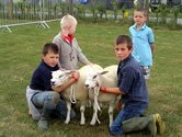 Na Slovensku rastie nov genercia mladch ekofarmrov