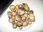 N�kupn� cena neskor�ch zemiakov sa v SR v 12. t��dni stabilizovala