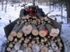 Ťažba dreva na Slovensku rastie
