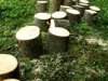 Iniciátori petície schvaľujú odvolanie vedenia Lesy SR
